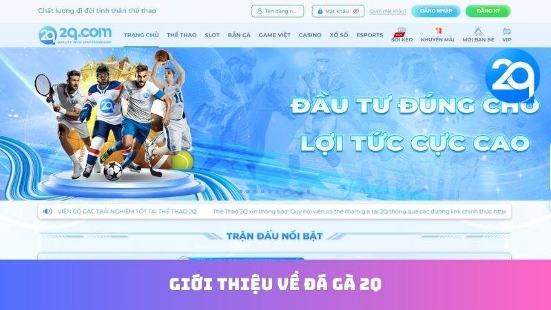 Đá Gà 2Q - Trận Đấu Hồi Hộp & Cơ Hội Thắng Lớn 1 da-ga-2q-1